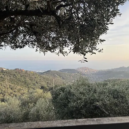 Casa Della Mimosa By Interhome Apartamento *